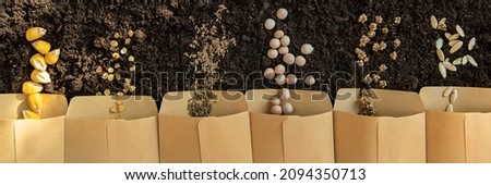 Seeds in bags on the soil. Selective focus. Nature. Royalty-Free Stock Photo #2094350713