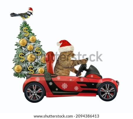 A beige cat in a Santa Claus hat drives a red car with a Christmas tree decorated with dollar balls. White background. Isolated.