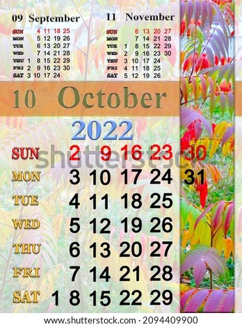 calendar for October 2022 with multicolored leaves in autumn park. autumn calendar October 2022. Calendar Printable. wall calendar with seasonal natural photo. Autumnal park with multicolored leaves