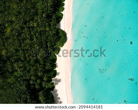 Aerial picture of white sandy beach with tropical trees, palm, white sand and turquoise water. Picturesque island with green trees. Breathtaking scenery. Vacation location.