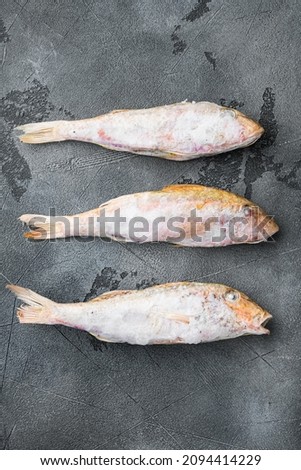 Frozen mullet or sultanka fish set, on gray stone table background, top view flat lay