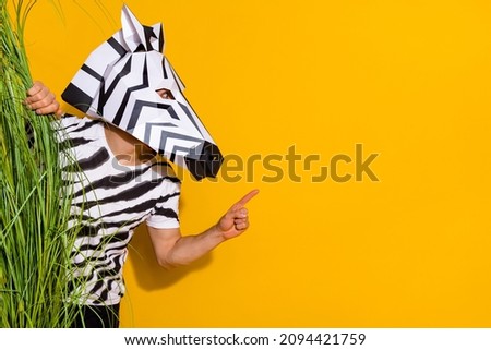 Photo of zebra guy sneaking from exotic rainforest point hand empty space isolated over shine yellow color background
