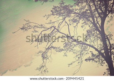 Vintage background with silhouette of tree. Grunge canvas texture. Retro style.