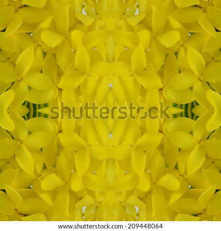 Seamless pattern made from Colorful West Indian Jasmine (Ixora chinensis Lamk) . background texture