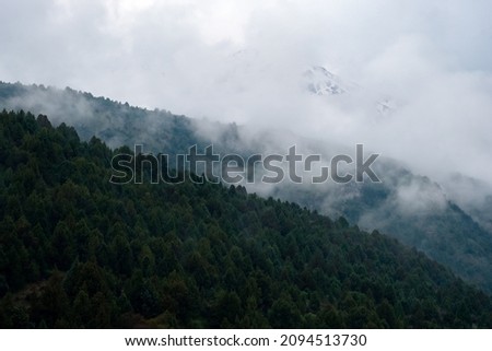 Misty foggy mountain landscape. Nature mountain forest landscape. Scenic background. Mystery weather in the mountains. Sayram-Ugam National Park. Tourism, travel in Kazakhstan concept.