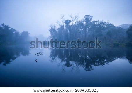 foggy morning at Platypus Pool