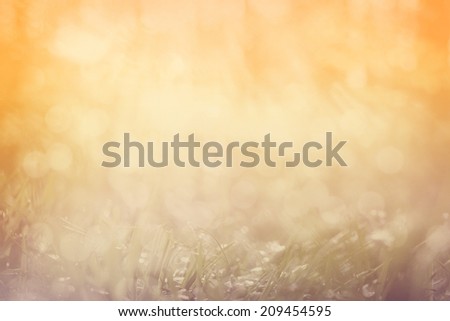  abstract dreamy background with grass and glitter lights 