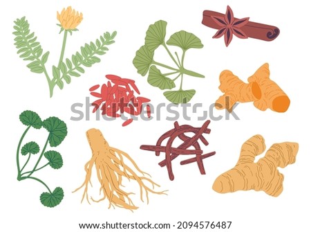 Traditional Chinese Medicine Herbs. Vector hand drawn illustration.  Royalty-Free Stock Photo #2094576487