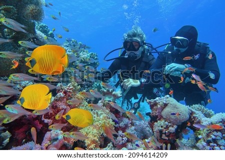 Scuba divers couple  near beautiful coral reef surrounded with shoal of coral fish and three yellow butterfly fish Royalty-Free Stock Photo #2094614209