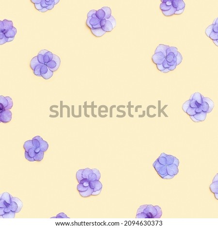 Natural Hydrangea violet flower, minimal floral frame on beige background. Layout with fresh flowers. Spring holiday concept, for Mothers day, 8 March, Womens day. Flat lay, above view, copy space