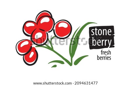 Drawn vector stone berry on a white background