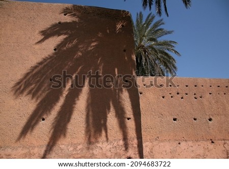 The shadow of parm tree on the wall Royalty-Free Stock Photo #2094683722