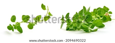 Oregano leaves, marjoram branch, isolated on white background Royalty-Free Stock Photo #2094690322