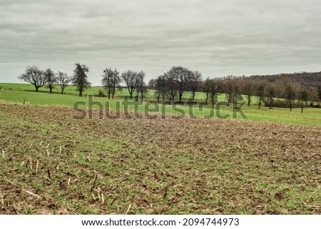 Hilly landscape with meadows agricultural fields and bare trees under a grey cloudy sky.