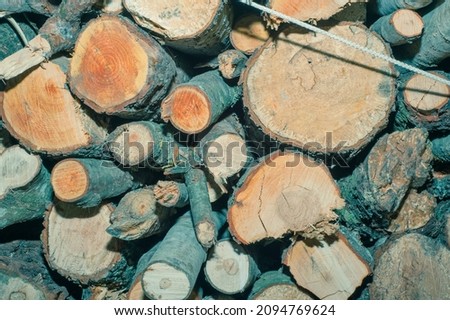 Wall of stacked wood logs as background natural