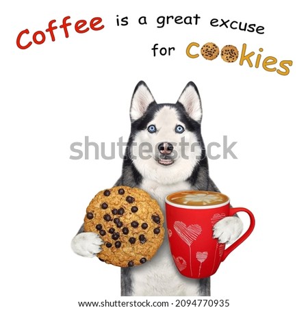 A dog husky holds a cookie and a paper cup of coffee. White background. Isolated.