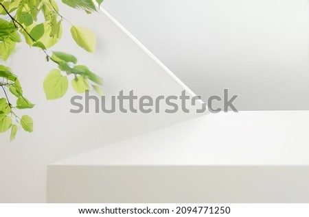 Light minimal geometric background with pedestal.  Mockup for natural product presentation. Branches of fresh greenery on white wall.
