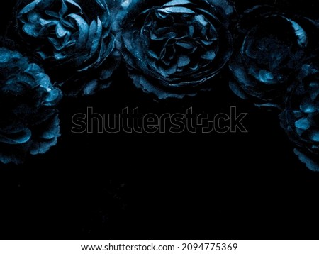 Beautiful abstract black blue flowers on black background, light purple flower frame,  blue leaves texture, dark background, flowers for Christmas and valentines day, love theme blue leaves texture