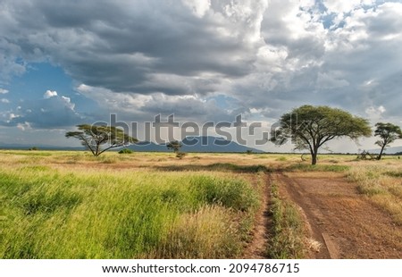 Shompole Conservancy Landscape with dramatic clouds and some single trees - Shompole, Kenya Royalty-Free Stock Photo #2094786715