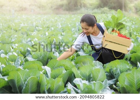Gardener woman with organic vegetable collection concept using organic fertilizers. Royalty-Free Stock Photo #2094805822
