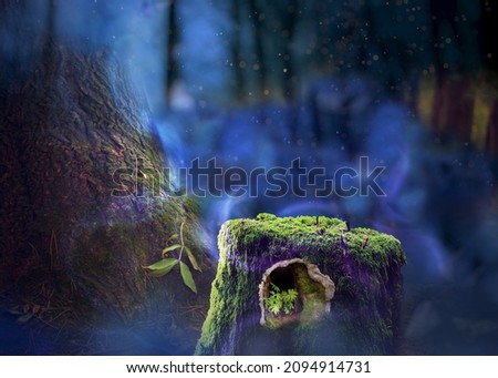 Magical fairy forest at night with a close up of a tree trunk with a fairy house. Fantasy misty landscape with a soft feeling with light magical effects. Perfect for a backdrop
