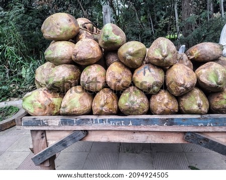Tender Coconut healthy and tasty,December,2,2021:rampur uttar paradesh india. 
