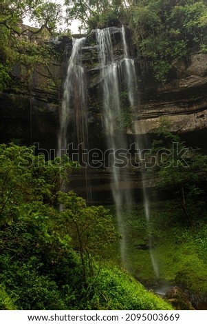 waterfall
Paulista – has 40 meters of waterfall - Location of Alto Capivari – City: Dr. Pedrinho – State: Santa Catarina – Brazil.
26-11-2021