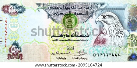 Large fragment of obverse side of 500 AED five hundred Dirhams banknote of United Arab Emirates, currency of the UAE with a picture of Sparrowhawk at right, selective focus of Emirates money banknotes
