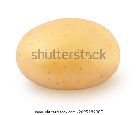 Fresh whole potato isolated on a white background. Clip art image for package design.