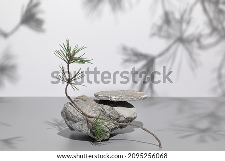 Abstract nature scene with composition of gray stones and pine tree branches shadows. Neutral background with podium for cosmetic or beauty product, branding, packaging mockups. Copy space, front view