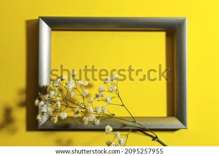 Beautiful gypsophila flowers and blank frame on color background