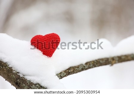 Red knitted love heart on a tree branch in the snow in winter forest. Valentine's card, background for Christmas celebration