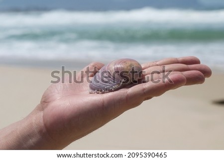A person showing a seashell towards the sea on the beach located at Post 12, known as "Praia do Pontal" in the Recreio dos Bandeirantes neighborhood, Rio de Janeiro, Brazil.
