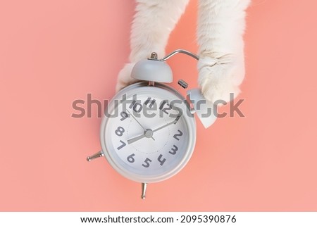 The alarm clock lies on a pink background, next to it are cat's paws. The concept of morning, awakening. Minimalism, top view, copy space