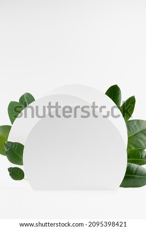 Fashion abstract scene mockup with decorative circles as frame, podium, growing tropical green leaves for presentation, display of cosmetic product, design, advertising, copy space, vertical, closeup.