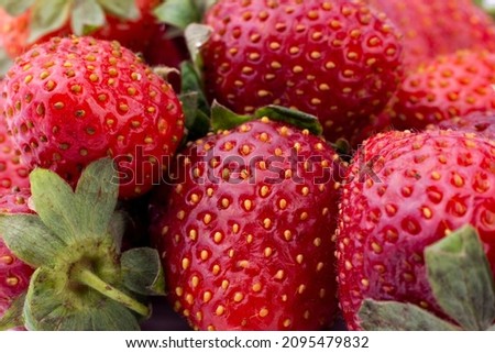 Ripe sweet strawberry background close  up image. Summer sweet fruit background.