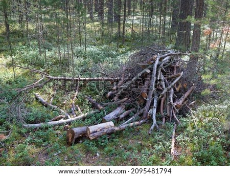 Pile of sawn brushwood  and branches tree in the pine forest. Forest protection concept. Royalty-Free Stock Photo #2095481794