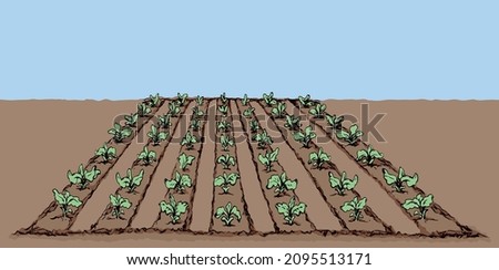 Eco green early lush ripe soy legume bush flora culture dirt sow on tillage furrow mulch patch blue sky text space. Bright color drawn vegan scene icon sign sketch retro doodle cartoon print art style Royalty-Free Stock Photo #2095513171