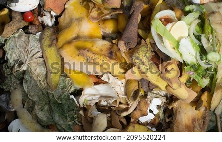 Vegetable residues or Organic Residues destined for composting in the city of Rio de Janeiro, Brazil. Royalty-Free Stock Photo #2095520224