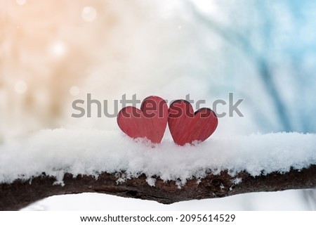 Red hearts on snowy tree branch in winter. Holidays. Happy valentines day celebration. Heart love concept. Royalty-Free Stock Photo #2095614529