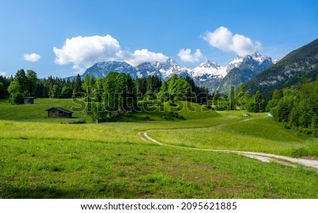 Summer alpine landscape with a green meadow and the snow-capped Loferer Steinberge, Salzburger Land, Austria
