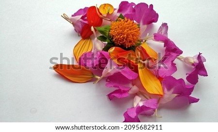 Mixture orange tithonia and impatiens balsamina flowers on white background
