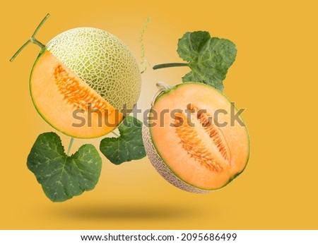 Sweet melon or cantaloupe with leaves falling in the air isolated on  yellow background, Japanese Hokkaido melon on yellow background With clipping path. Royalty-Free Stock Photo #2095686499