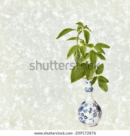 Textured paper background with basil spice herb branch. Vintage style decoration