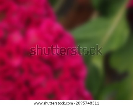 pink flowers with blurred light green leaves are used used as a background