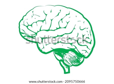 Green thinking green brain in white background.