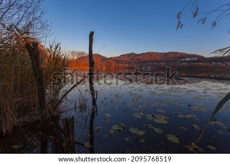 Expanse of water lilies on lake during an autumn sunset with Prosecco Unesco Hills reflected in the waters. Revine Lakes, Veneto, Italy. Concept about peace and relaxation. Popular travel destination