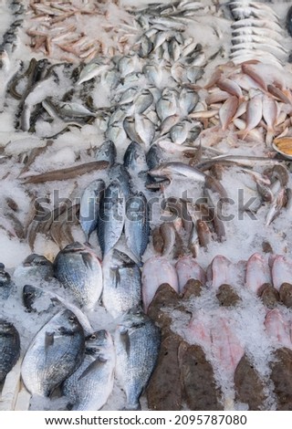 Various fish in the market among the ice. sea foods.