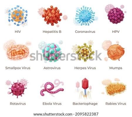 HERPES-B-VIRUS Stock Vector Images - Avopix.com