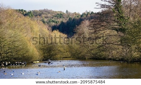 Autumn landscape view in Etherow Country Park Royalty-Free Stock Photo #2095875484